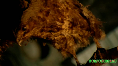 Одержимая дочь сделала силой минет отцу